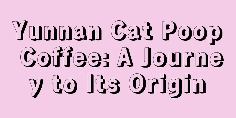 Yunnan Cat Poop Coffee: A Journey to Its Origin