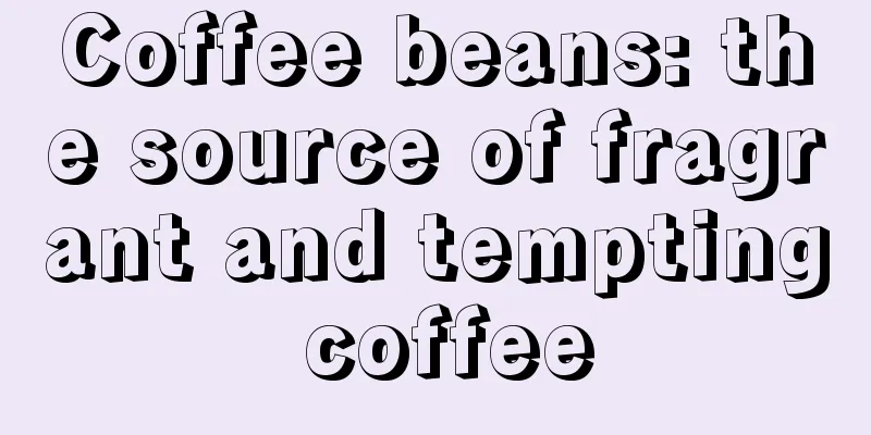 Coffee beans: the source of fragrant and tempting coffee