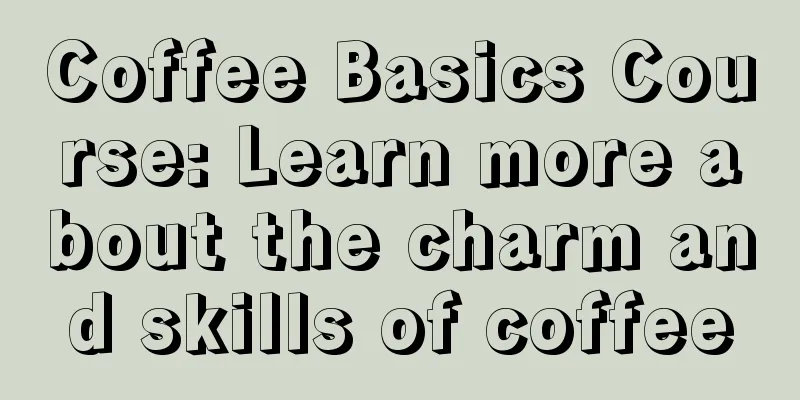 Coffee Basics Course: Learn more about the charm and skills of coffee