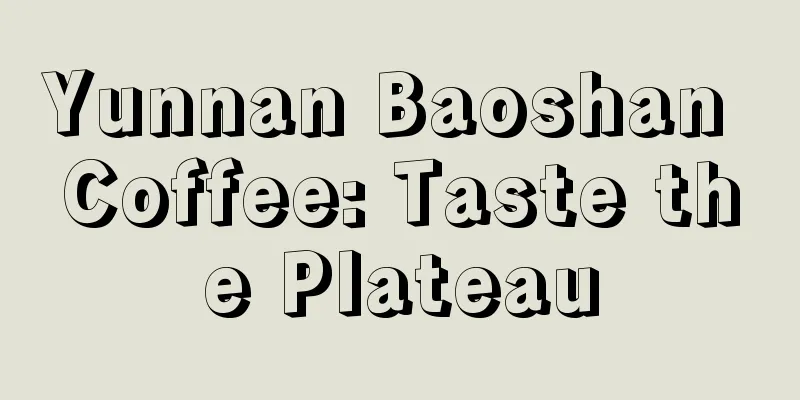 Yunnan Baoshan Coffee: Taste the Plateau