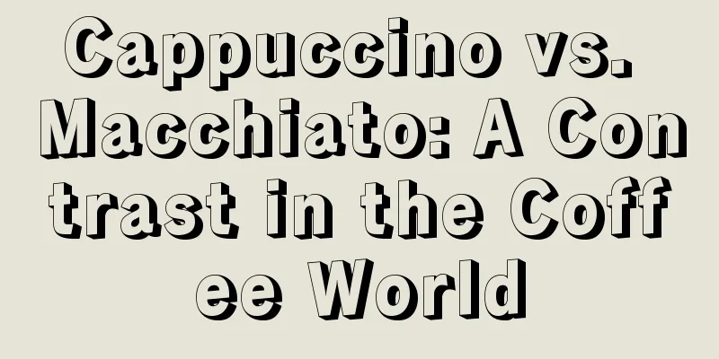 Cappuccino vs. Macchiato: A Contrast in the Coffee World