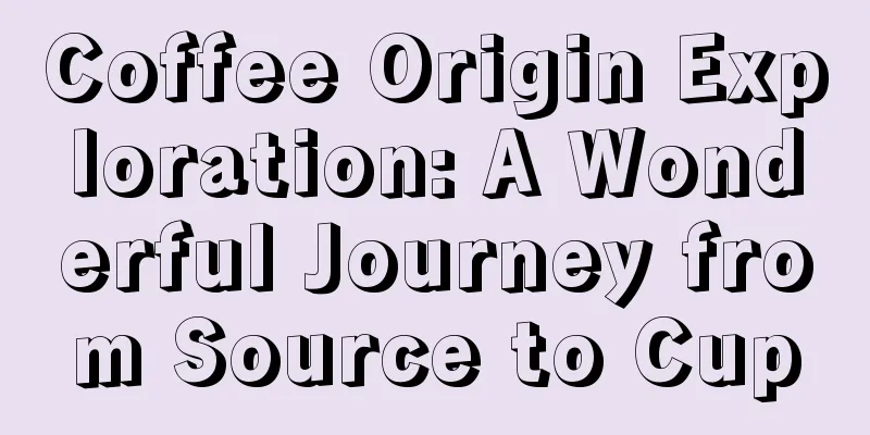 Coffee Origin Exploration: A Wonderful Journey from Source to Cup