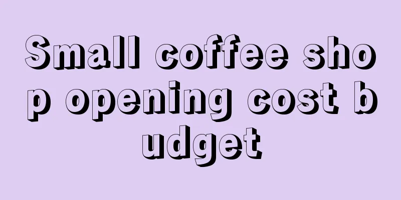 Small coffee shop opening cost budget