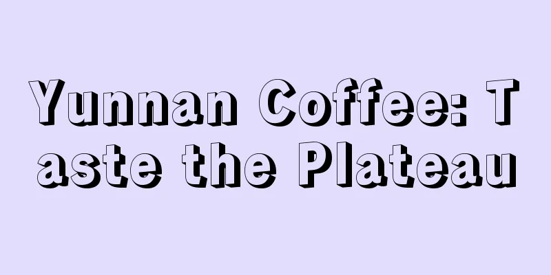 Yunnan Coffee: Taste the Plateau