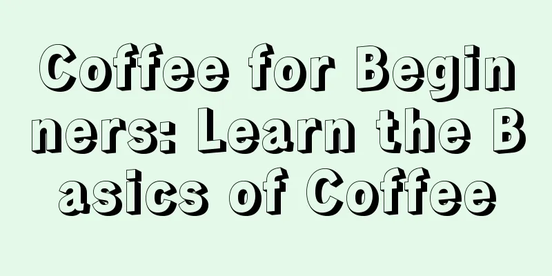 Coffee for Beginners: Learn the Basics of Coffee