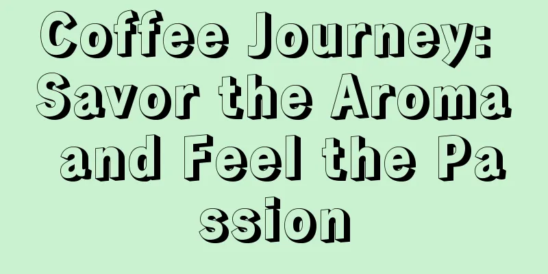 Coffee Journey: Savor the Aroma and Feel the Passion