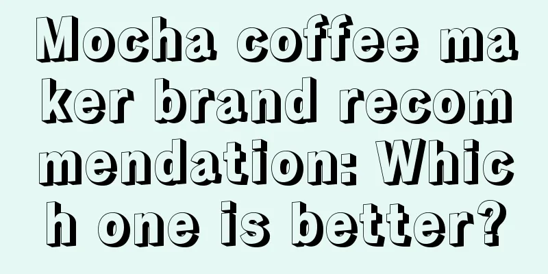 Mocha coffee maker brand recommendation: Which one is better?