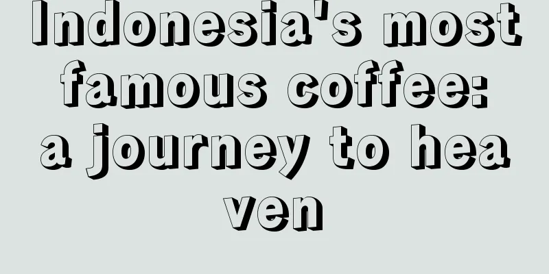 Indonesia's most famous coffee: a journey to heaven