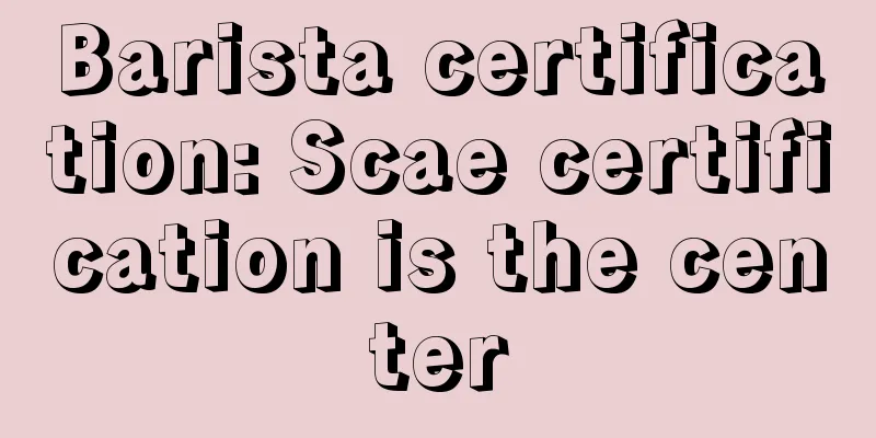 Barista certification: Scae certification is the center