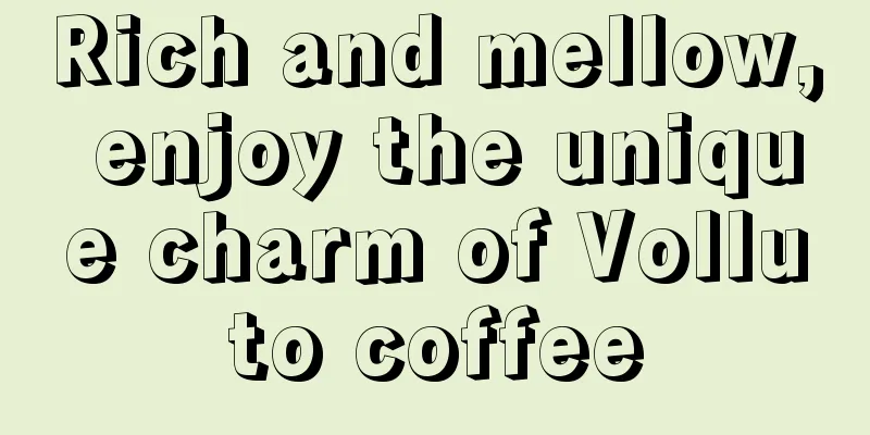 Rich and mellow, enjoy the unique charm of Volluto coffee