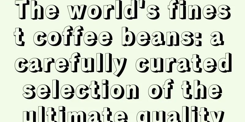 The world's finest coffee beans: a carefully curated selection of the ultimate quality