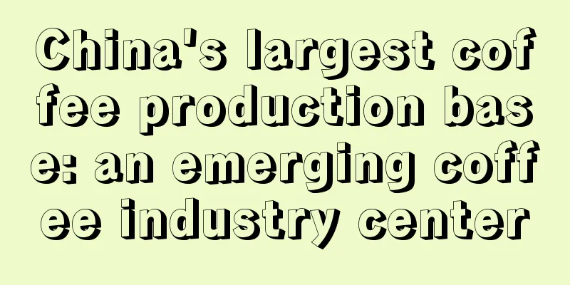 China's largest coffee production base: an emerging coffee industry center