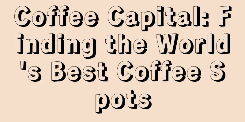 Coffee Capital: Finding the World's Best Coffee Spots