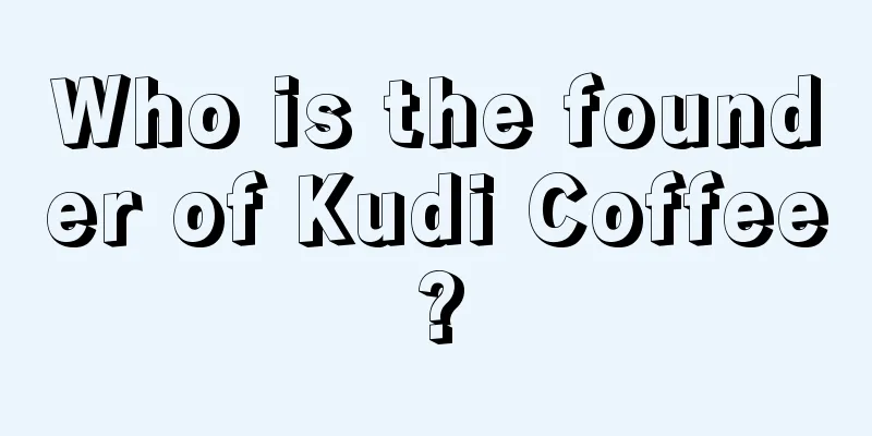 Who is the founder of Kudi Coffee?