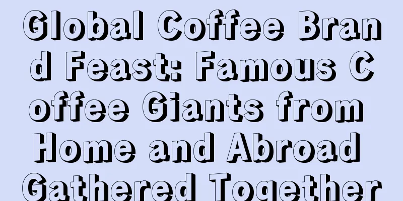 Global Coffee Brand Feast: Famous Coffee Giants from Home and Abroad Gathered Together