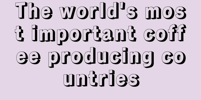 The world's most important coffee producing countries