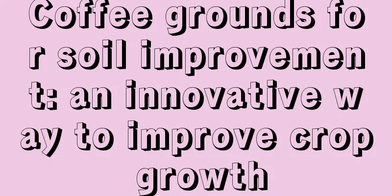 Coffee grounds for soil improvement: an innovative way to improve crop growth