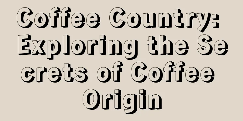 Coffee Country: Exploring the Secrets of Coffee Origin