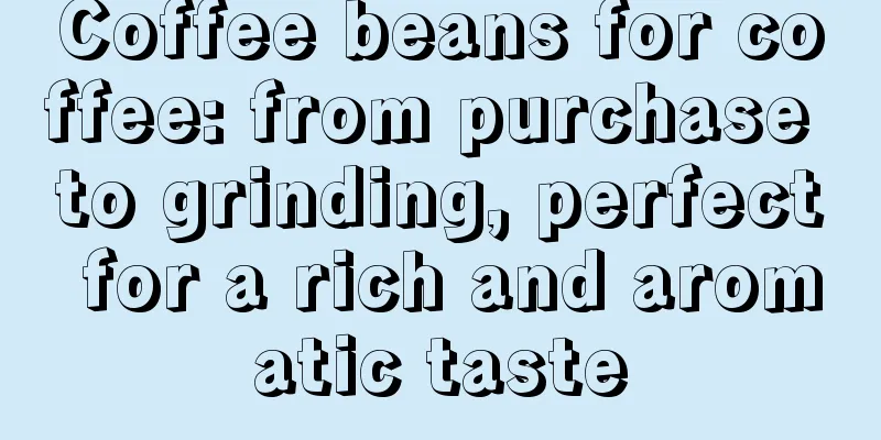 Coffee beans for coffee: from purchase to grinding, perfect for a rich and aromatic taste