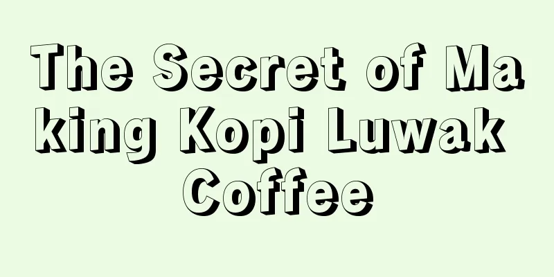 The Secret of Making Kopi Luwak Coffee