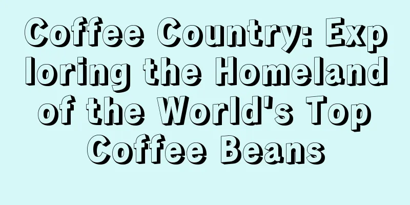 Coffee Country: Exploring the Homeland of the World's Top Coffee Beans