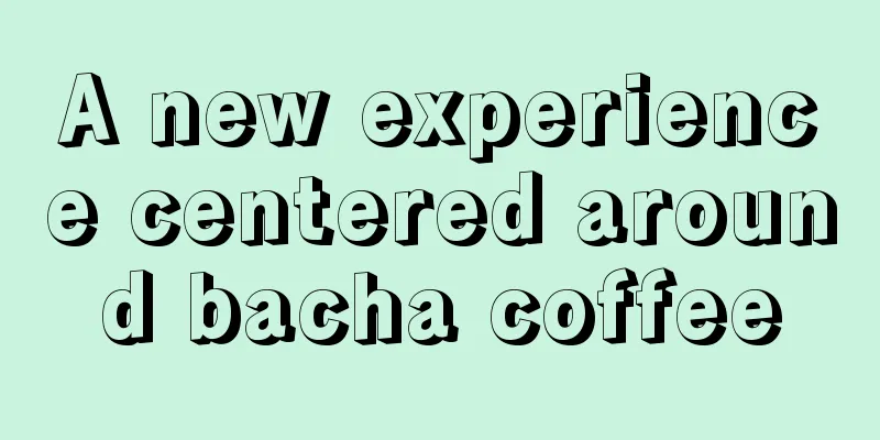 A new experience centered around bacha coffee