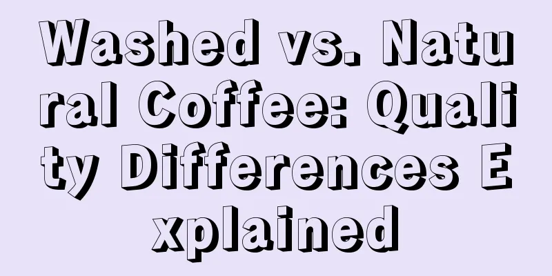 Washed vs. Natural Coffee: Quality Differences Explained