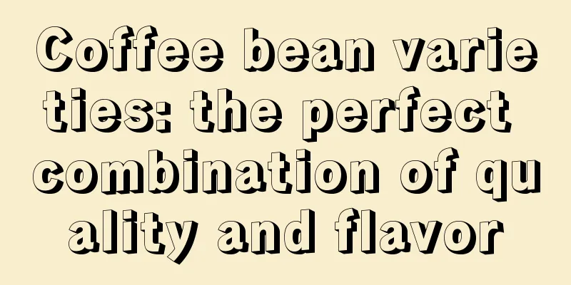 Coffee bean varieties: the perfect combination of quality and flavor