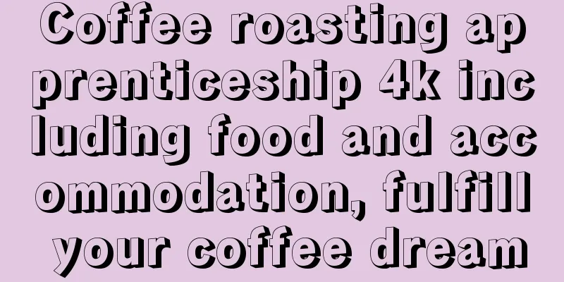 Coffee roasting apprenticeship 4k including food and accommodation, fulfill your coffee dream