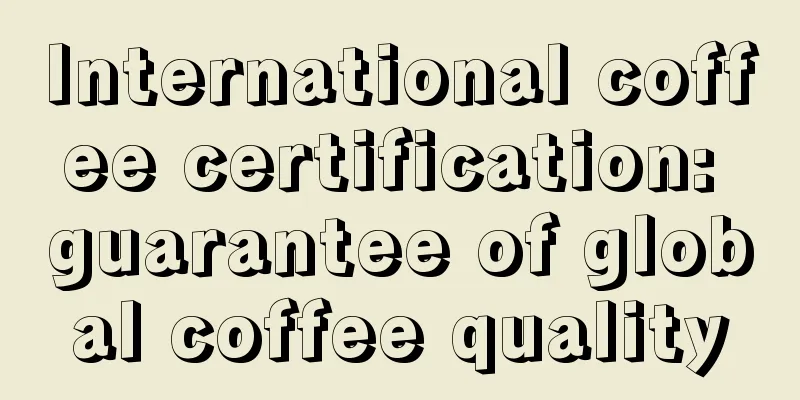 International coffee certification: guarantee of global coffee quality