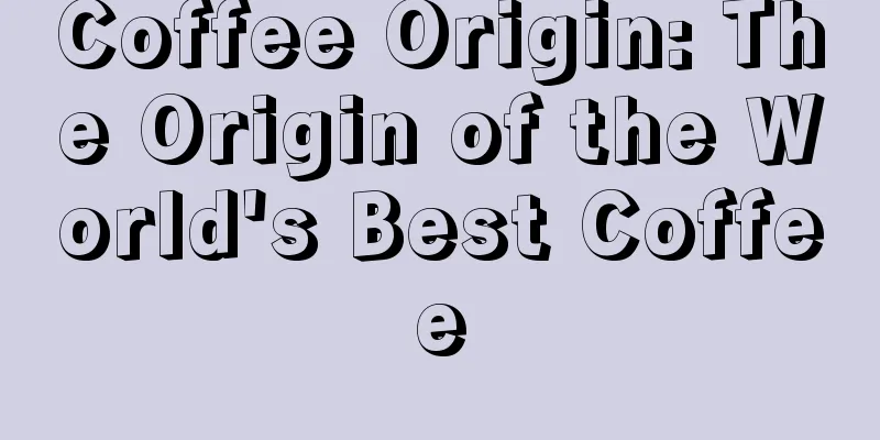 Coffee Origin: The Origin of the World's Best Coffee