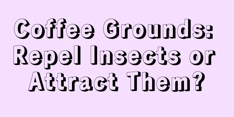 Coffee Grounds: Repel Insects or Attract Them?