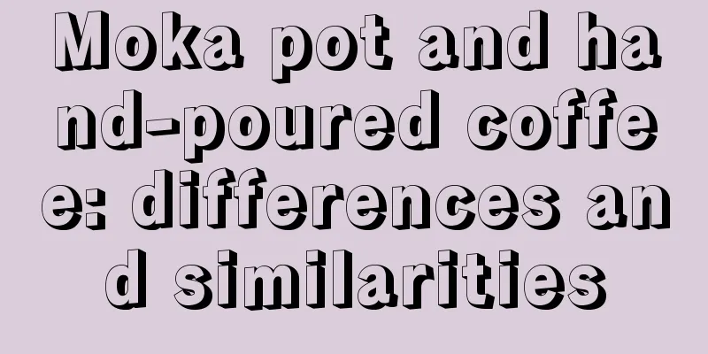 Moka pot and hand-poured coffee: differences and similarities