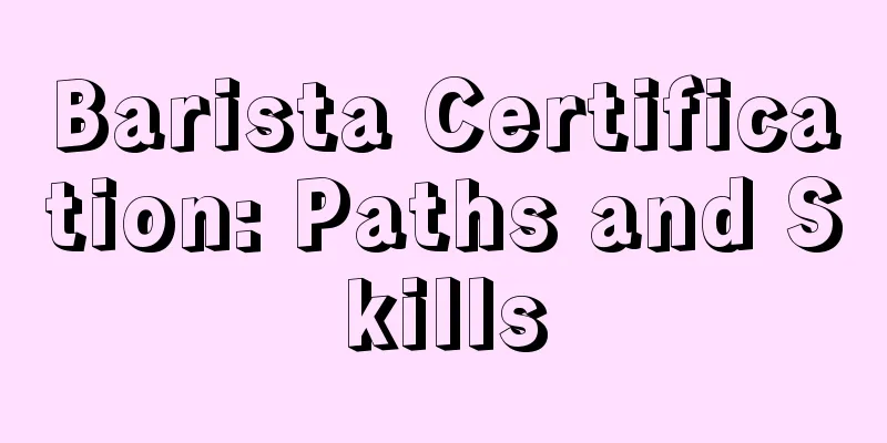 Barista Certification: Paths and Skills