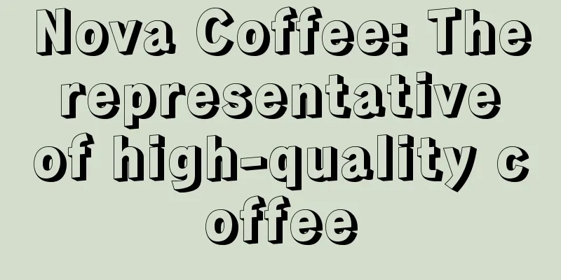 Nova Coffee: The representative of high-quality coffee