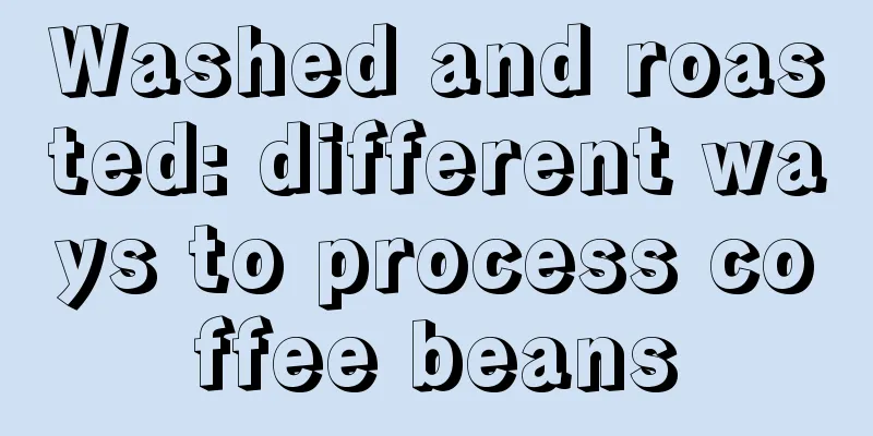 Washed and roasted: different ways to process coffee beans