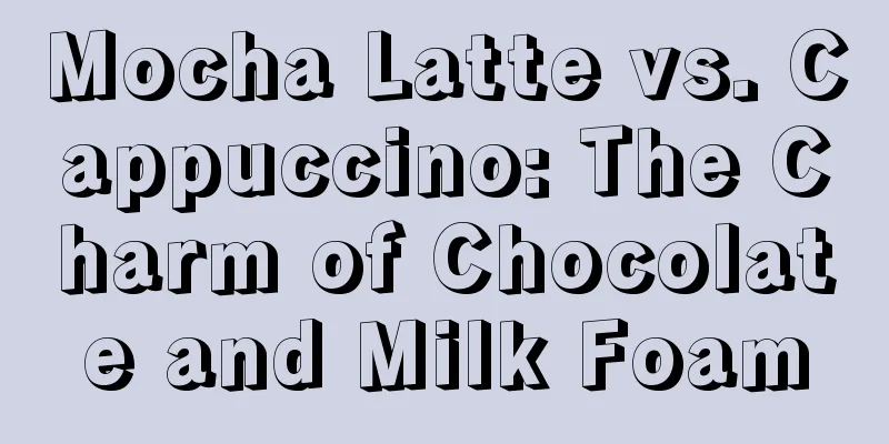 Mocha Latte vs. Cappuccino: The Charm of Chocolate and Milk Foam