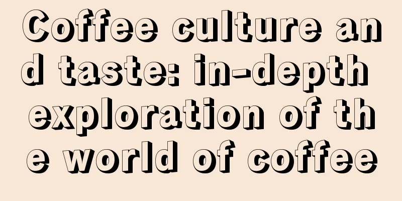 Coffee culture and taste: in-depth exploration of the world of coffee