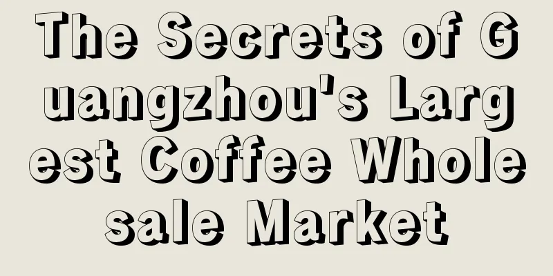 The Secrets of Guangzhou's Largest Coffee Wholesale Market