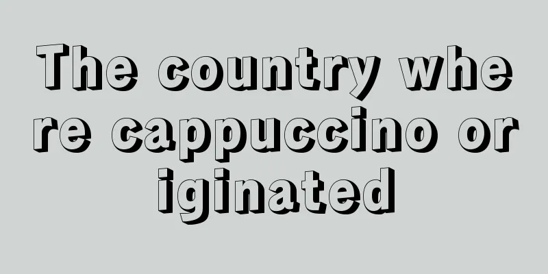 The country where cappuccino originated