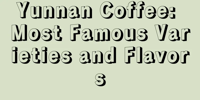 Yunnan Coffee: Most Famous Varieties and Flavors