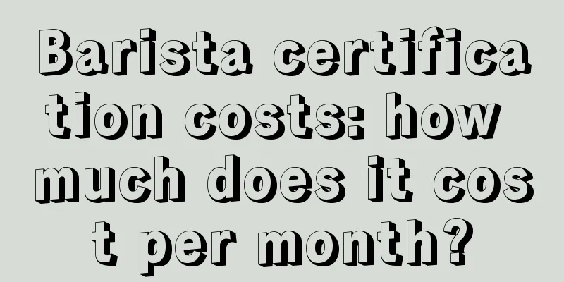 Barista certification costs: how much does it cost per month?