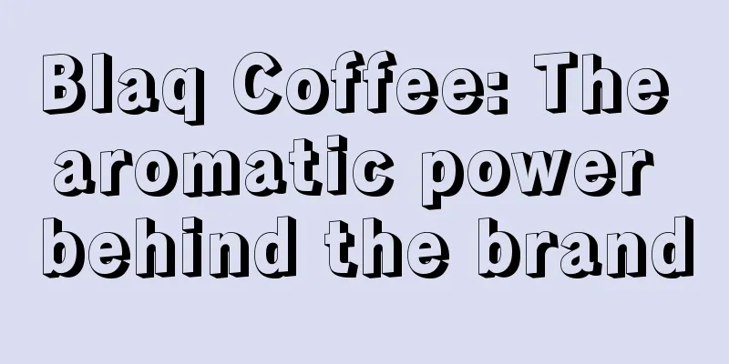 Blaq Coffee: The aromatic power behind the brand