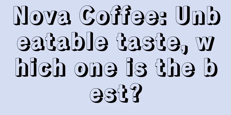 Nova Coffee: Unbeatable taste, which one is the best?