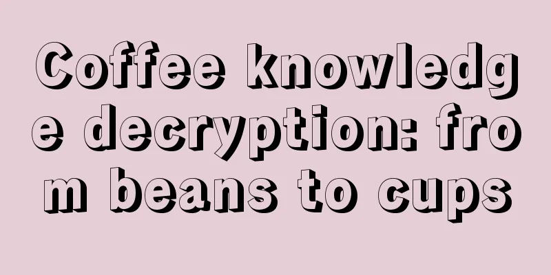 Coffee knowledge decryption: from beans to cups