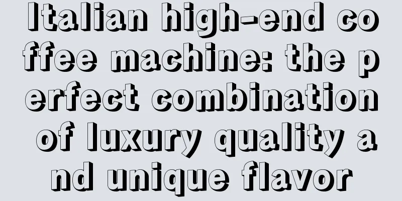 Italian high-end coffee machine: the perfect combination of luxury quality and unique flavor