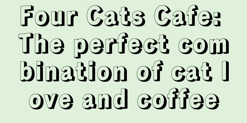 Four Cats Cafe: The perfect combination of cat love and coffee