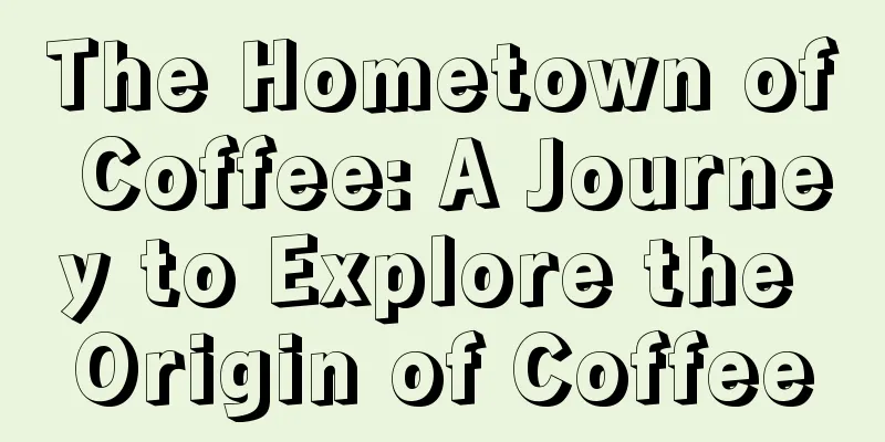 The Hometown of Coffee: A Journey to Explore the Origin of Coffee