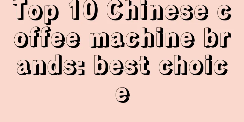 Top 10 Chinese coffee machine brands: best choice