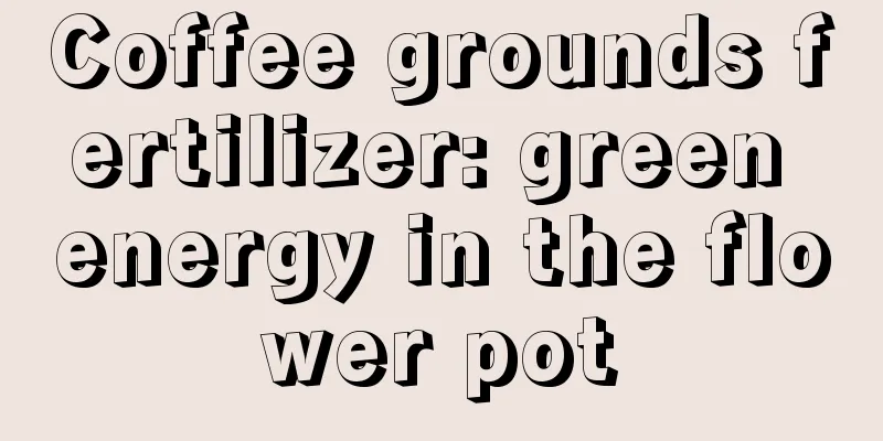 Coffee grounds fertilizer: green energy in the flower pot